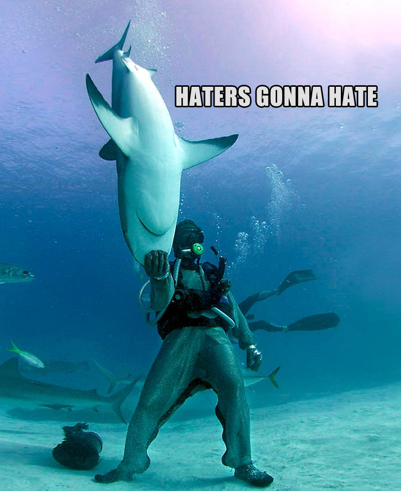 haters-gonna-hate-shark-king